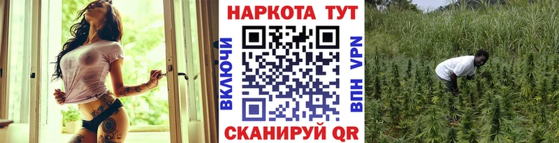 Где продают наркотики Тамбов ГАШИШ  А ПВП  Меф  кракен как зайти  Cocaine 