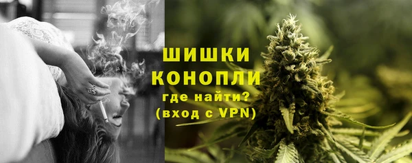 индика Богданович