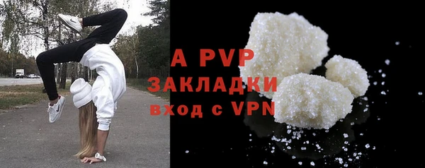 индика Богданович