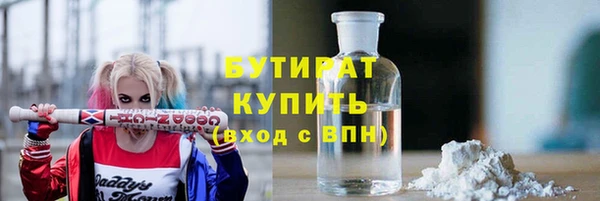 индика Богданович
