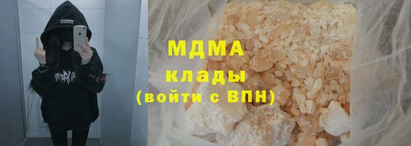 индика Богданович