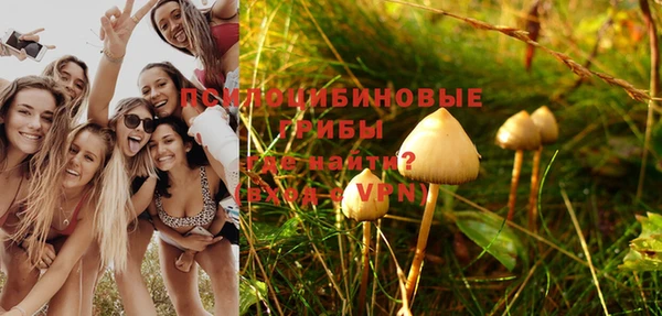 кристаллы Белокуриха