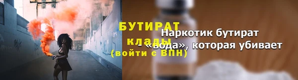индика Богданович