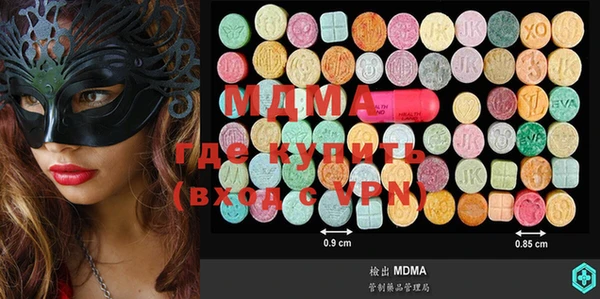 индика Богданович