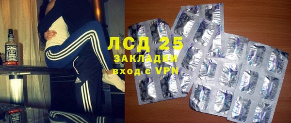 индика Богданович
