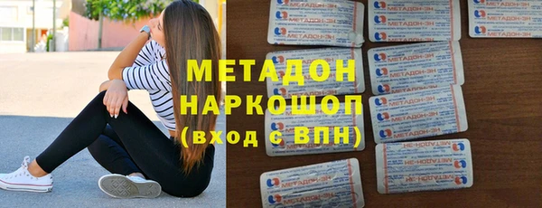 индика Богданович