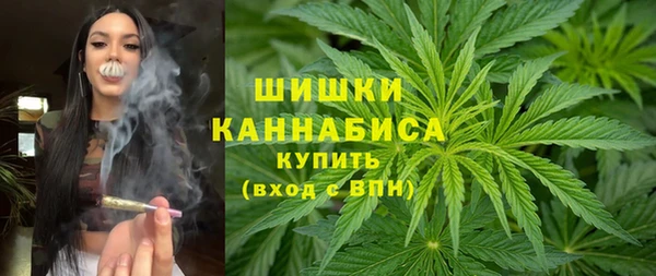 индика Богданович