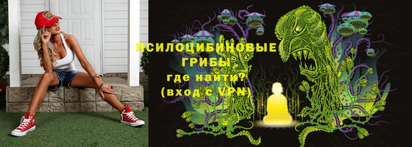 эйфоретик Богородицк