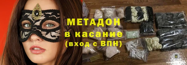 индика Богданович