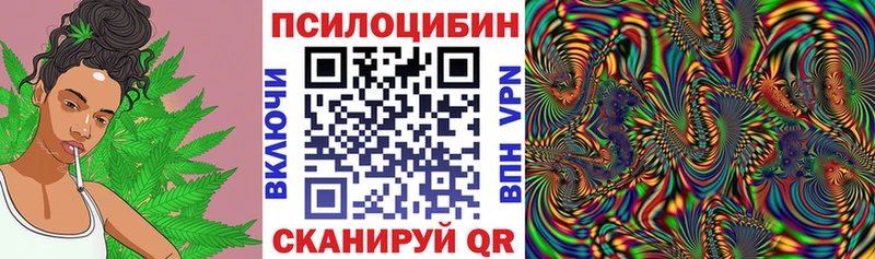 Галлюциногенные грибы мицелий Тамбов